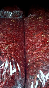 (5kg) Satu Bal Cabe Teja Kering Non Tangkai