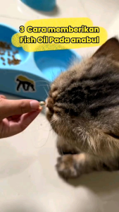 MINYAK IKAN FISH OIL ISI 50 PIL VITAMIN PENGGEMUK & PELEBAT BULU KUCING