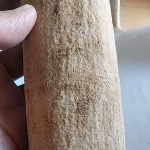 KULIT kayu PULE kering