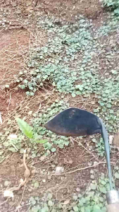 pembersih rumput cangkul kecil wangkil gatul berkwalitas