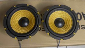CỦ LOA BASS 20 RỜI COIL 38 TỪ 100 GÂN CAO SU SƯỜN VÀNG(GIÁ 1 CÁI) HÀNG NHẬP KHẨU CHUYÊN HÁT KARAOKE NGHE NHẠC
