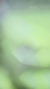 Green (เขียว) คลิเลอร์ MDCleancar ล้างรถ 10 ยิ่ง ถูย กลิ่น น้ำยา และ เอ็มดี คลีน