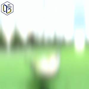 Bộ Võng Xếp Cao Cấp An Bình Khung Phi 32 Sơn Tĩnh Điện Tải Trọng 250kg Lưới Võng Xuất Khẩu Polyester Siêu Bền - Hàng Chính Hãng