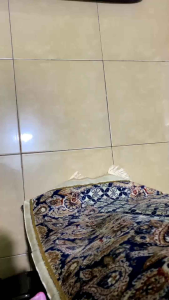 Parfum karpet bebas alkohol anti bakteri kemasan 1 liter dengan botol spray