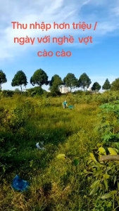 Vợt bắt cào càochâu chấu mắt lưới 1 ly