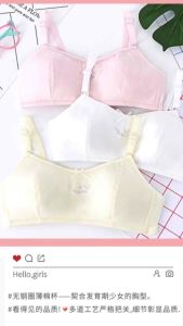 (READY STOCK) 3Pcs Girls Bra Teenager Cotton Bra Children Non Wired Thin Padded Underwear(code:13)