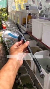 Alat Sifon Aerator aquarium DIY