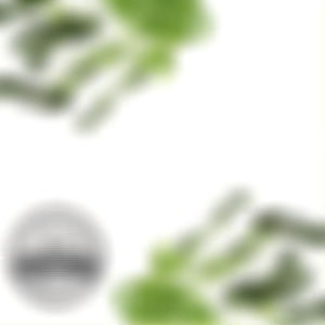 SB Plant Invigorator (SBPI) 500ML เป็นผลิตภัณฑ์อเนกประสงค์ที่เป็นมิตรต่อสิ่งแวดล้อมที่เกษตรกรใช้เพื่อควบคุมศัตรูพืช