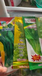 Combo 5 gói rau cải các loại ( được chọn gói) ngọn mập bẹ to trẻ lâu chịu nhiệt chịu mưa mỗi gói 20gr