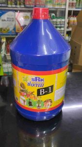 ✨แท้100%✨ วิตามิน B1 บีวัน b1 ช่องาม B-1 น้ำยาเร่งราก รากแข็งแรง รากเดินดี เร่งราก เรียกราก แกลลอนขนาด 4 ลิตร