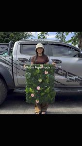 [ออกใบกำกับภาษีได้] 🍃แผ่นหญ้าเทียม สำหรีบตกแต่ง สำเร็จรูป ขนาด40×60cm ต่อ1แผ่น สวยเหมือนจริง ติดตั้งได้ด้วยตัวเอง 💕