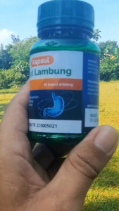 EZA Herba Natural SEHAT LAMBUNG 60 kp - Obat Maag Terlaris dengan Khasiat Mengatasi Maag & Tukak Lambung - Meningkatkan Nafsu Makan (Murah)