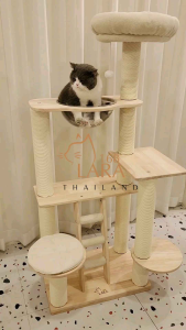 คอนโดแมวไม้ยางพารา 🌈 พร้องส่ง ที่นอนแมว ที่ฝนเล็บแมว (A46)