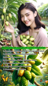BUAH MENGKUDU BUBUK. ASLI BUBUK MENGKUDU 10GR.