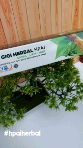 Pasta Gigi SIWAK HNI Original