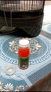 RUJAK NEKTAR burung kicau pakan harian 100ml kolibri pleci sogon konin asli super gacor