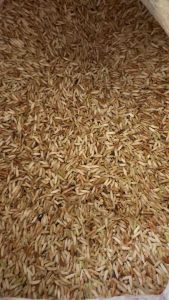 ข้าวเหนียวแดงพวงชมพู  ไม่ใช้ปุ๋ยเคมี ข้าวไม่อบ สีใหม่ทุกครั้ง