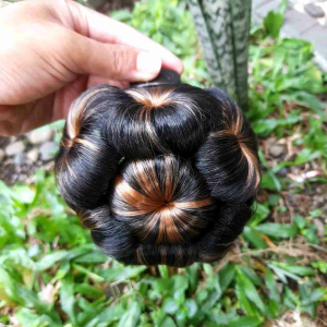 Jepit keong jepit jamur sanggul modern