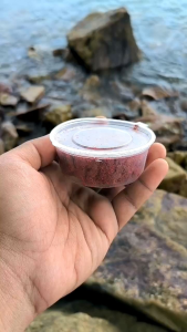 UMPUN-UMPUN Separa Kering Umpan Killer Tahan Lebih Lama Kegemaran Ikan-ikan (60 gram)