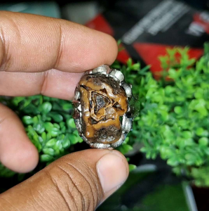 akik jamal pamor bungkem lawasan