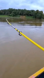 Umpan Kucur Super /umpan ikan baung 1 kg