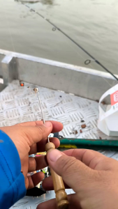 เหยื่อตกปลากด เกษตรฮันเตอร์