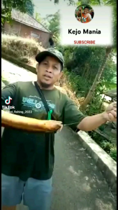 urek baja hitam super anti mocel alat pancing belut