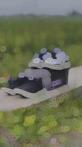 Sepatu Sekolah Anak Perempuan Laki Laki Hitam Putih TK SD SMP Prepet Sepatu Ringan Trendy. Uk 31 - 37 [Swallow x Katzz Sch 01] Malwezz