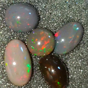 paket kalimaya black opal asli banten