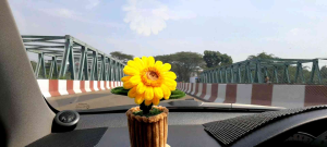 bunga matahari kawat bulu / pot bunga / sun flower