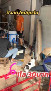 ขนมปังสดผสมเหยื่อตกปลาขนมปังป่น 1 กิโล 35 บาท หอมๆ ปั่นตามสั่ง ใช้ตกปลา  สดใหม่ทุกถุง ขนมปังแบบแห้ง ขนมปัง ผสมได้ทุกสูตร