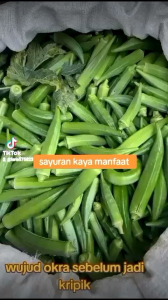 Sayur Okra Hijau Segar 1 kg