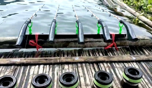 Golongan/Gulungan/gogolong senar pancing diameter lubang dalam kecil ada tali karetnya