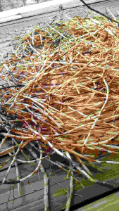 paket Akar Alang Alang obat demam 100gram