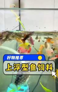 NC High Astaxanthin 0.4mm Floating Fish Pellet Suitable For All The Small Fish Betta Fish Guppy Fish