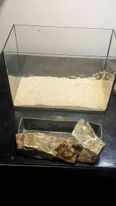 Aquarium Rockscape Pot for Planted Tanks - Clear Glass Tank - Natural Stone Decor - Sand Base - Indoor Aquarium Setup