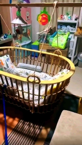 เปลนอนเด็ก เปลนอนทารก เปลหวาย เด็กแรกเกิดถึง3ปี หวายลำใหญ่แข็งแรง มี 4 ขนาด