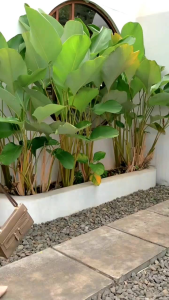 GAMIS RAYON TERBARU //GAMIS RAYON PREMIUM// GAMIS WILONA VIRAL TERBARU