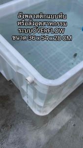 ลังพลาสติกแบบยาวทึบสีเทา วาวล์ขาว ระบบover flow สำหรับเลี้ยงปลา อ่างเลี้ยงปลา กะบะเลี้ยงปลา อ่างปลาบอลลูน อ่างปลาเมกาดะ