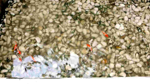 NO DROP KOLAM IKAN 1 KG Cat Pelapis Anti Bocor Tahan Cuaca Tidak Beracun