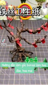 combo 10 kẽm cành _ 2 cuộn băng keo sáp nâu quấn cành hoa  thân hoa mai đào