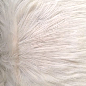 Buku Cerita Anak Bergambar - Seri Transportasi