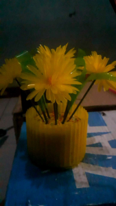 Bunga Dahlia: Tumbuhan Indah untuk Bunga Taman