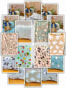 Childrens Ice Silk Blanket & Pillow with prints