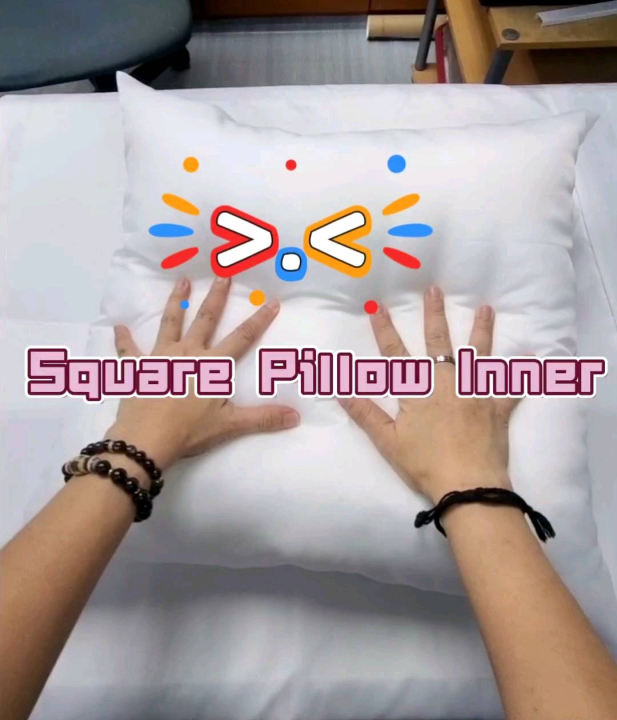 40cm X 40cm Square Pillow Insert White Pillow Inner Blue Pillow