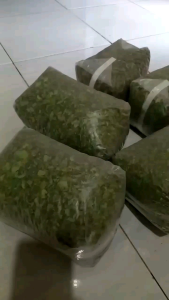 Daun kelor kering 250 gram