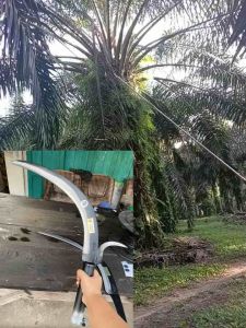 egrek sawit PALM KING LONG kolong taji / alat panen sawit