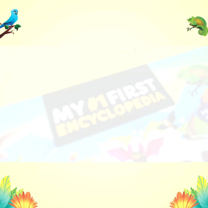 Buku Ensiklopedia Anak Hardcover | My First Encyclopedia Keajaiban Dunia Hewan | Ziyadbooks