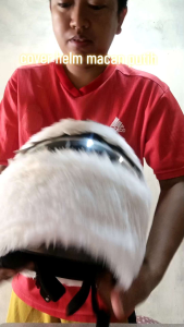 Cover Helm Macan Sarung Helm Bisa di Cuci