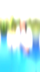 Horselin Susu Kuda Liar Murni Asli Sumbawa Untuk Nyeri Sendi Dan Pegel Linu Asam Urat Kebas Syaraf Kejepit